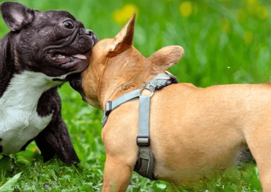 Untitled-3-e1693939045585