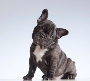 19b57eed-f5c7-40ca-b726-fe3636f7b5d9