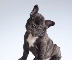 19b57eed-f5c7-40ca-b726-fe3636f7b5d9