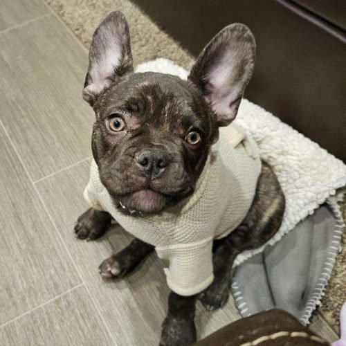 WhatsApp Image 2023-10-11 at 8.51.32 PM (1)