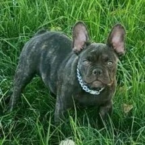 WhatsApp Image 2023-10-11 at 8.51.32 PM