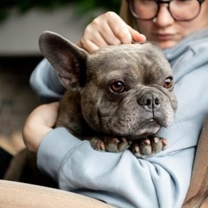 dog-lifestyle-care-with-owner_23